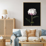 Shop Peony Canvas Print a floral themed painted framed canvas wall art print from The Print Emporium artwork collection - Buy Australian made fine art painting style stretched canvas prints for the home and your interior decor space, TPE-024-CA-35X46-NF