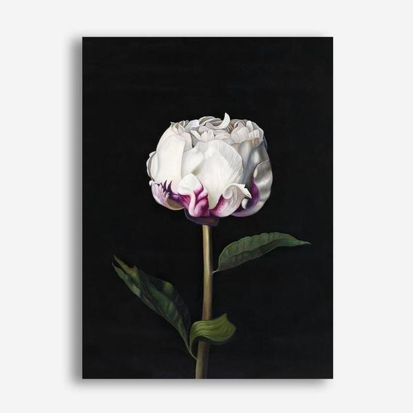 Shop Peony Canvas Print a floral themed painted framed canvas wall art print from The Print Emporium artwork collection - Buy Australian made fine art painting style stretched canvas prints for the home and your interior decor space, TPE-024-CA-35X46-NF