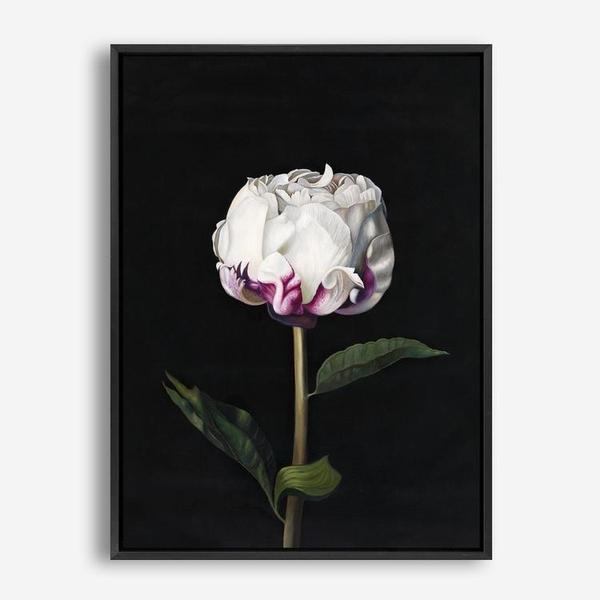 Shop Peony Canvas Print a floral themed painted framed canvas wall art print from The Print Emporium artwork collection - Buy Australian made fine art painting style stretched canvas prints for the home and your interior decor space, TPE-024-CA-35X46-NF