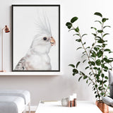 Shop Pia The White Cockatiel Art Print a painted bird themed wall art print from The Print Emporium wall artwork collection - Buy Australian made fine art painting style poster and framed prints for the home and your interior decor room, TPE-219-AP