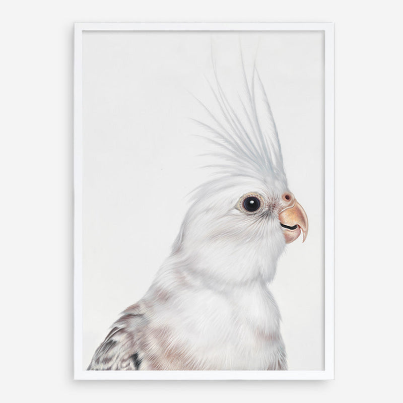 Shop Pia The White Cockatiel Art Print a painted bird themed wall art print from The Print Emporium wall artwork collection - Buy Australian made fine art painting style poster and framed prints for the home and your interior decor room, TPE-219-AP