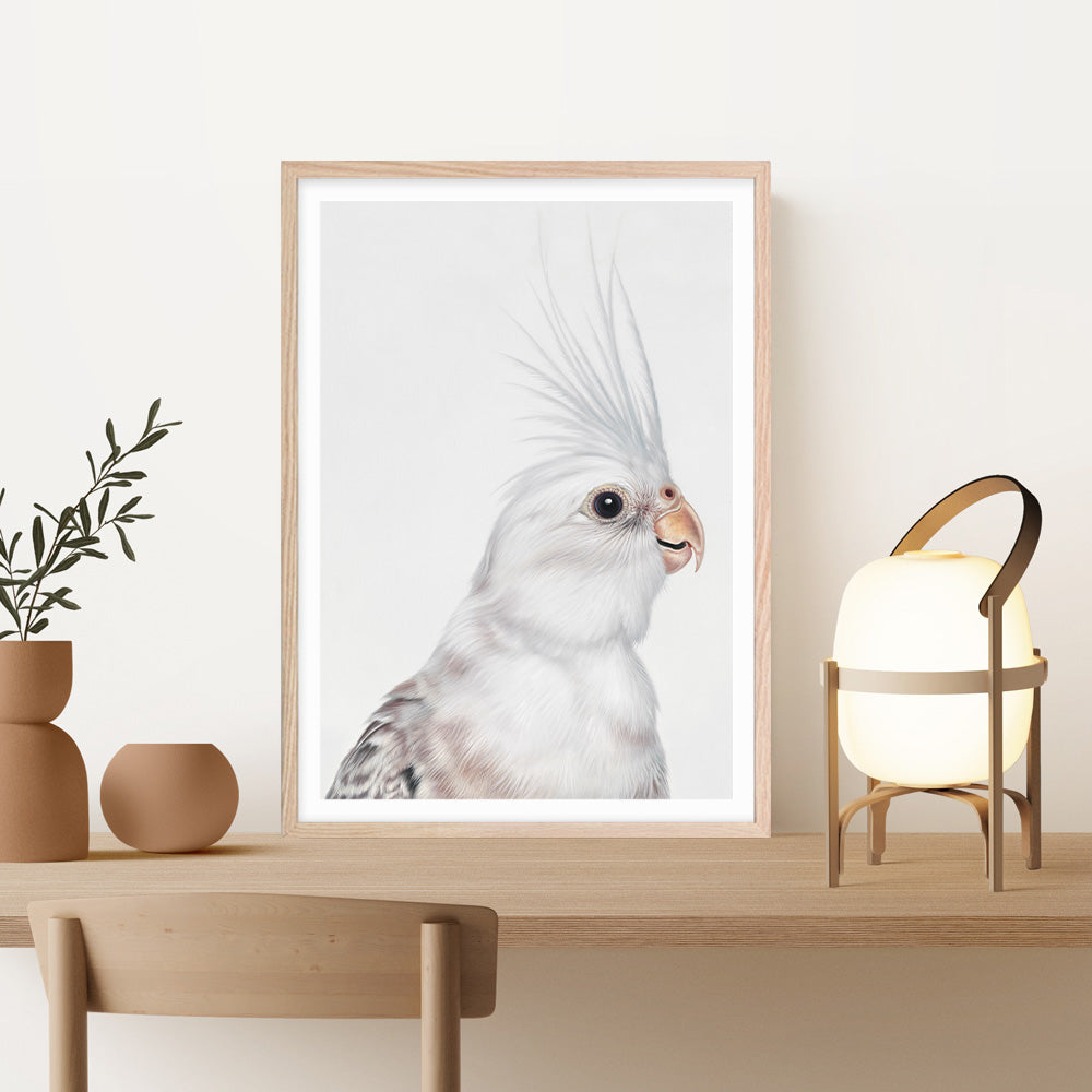 Shop Pia The White Cockatiel Art Print a painted bird themed wall art print from The Print Emporium wall artwork collection - Buy Australian made fine art painting style poster and framed prints for the home and your interior decor room, TPE-219-AP