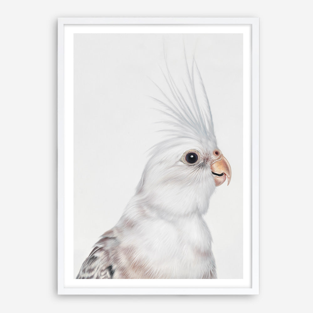 Shop Pia The White Cockatiel Art Print a painted bird themed wall art print from The Print Emporium wall artwork collection - Buy Australian made fine art painting style poster and framed prints for the home and your interior decor room, TPE-219-AP