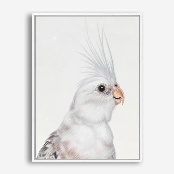 Shop Pia The White Cockatiel Canvas Print a painted bird themed framed canvas wall art print from The Print Emporium artwork collection - Buy Australian made fine art painting style stretched canvas prints for the home and your interior decor space, TPE-219-CA-35X46-NF