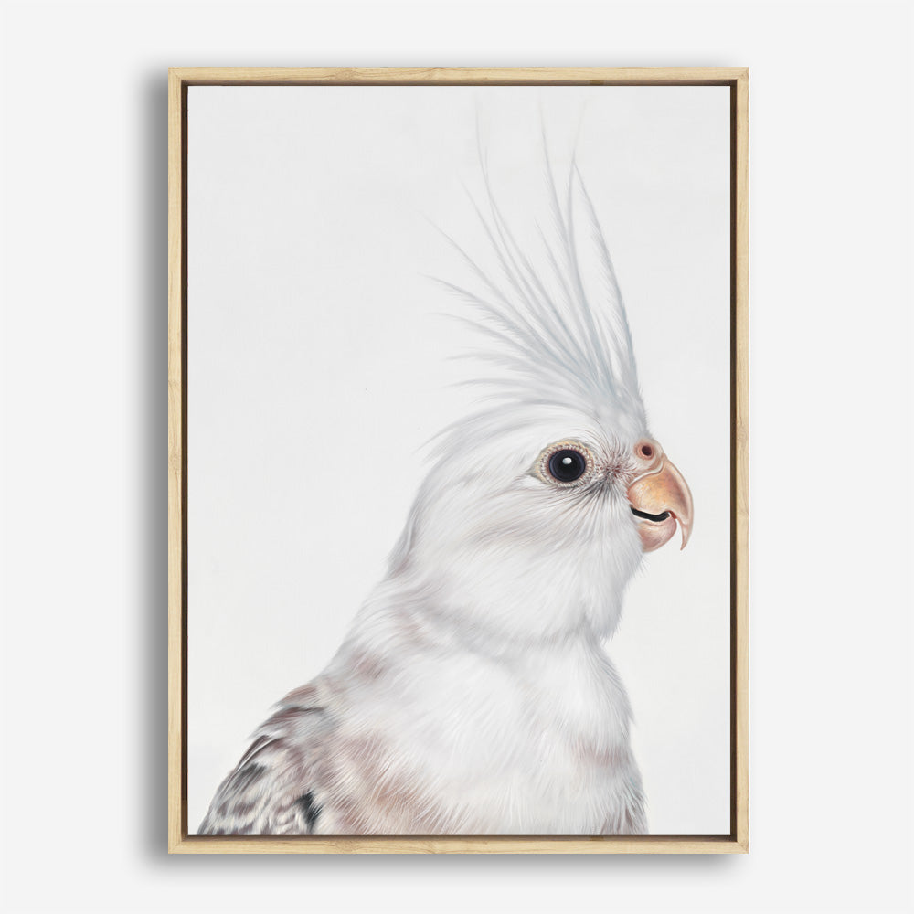 Shop Pia The White Cockatiel Canvas Print a painted bird themed framed canvas wall art print from The Print Emporium artwork collection - Buy Australian made fine art painting style stretched canvas prints for the home and your interior decor space, TPE-219-CA-35X46-NF