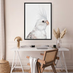 Shop Pia The White Cockatiel Canvas Print a painted bird themed framed canvas wall art print from The Print Emporium artwork collection - Buy Australian made fine art painting style stretched canvas prints for the home and your interior decor space, TPE-219-CA-35X46-NF