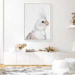 Shop Pia The White Cockatiel Canvas Print a painted bird themed framed canvas wall art print from The Print Emporium artwork collection - Buy Australian made fine art painting style stretched canvas prints for the home and your interior decor space, TPE-219-CA-35X46-NF