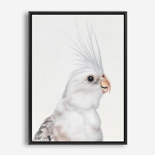 Shop Pia The White Cockatiel Canvas Print a painted bird themed framed canvas wall art print from The Print Emporium artwork collection - Buy Australian made fine art painting style stretched canvas prints for the home and your interior decor space, TPE-219-CA-35X46-NF