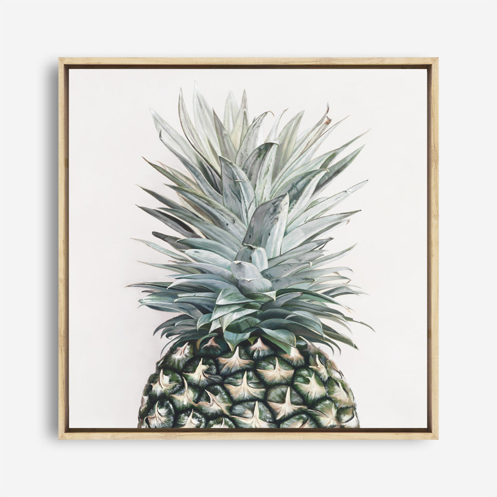 Shop Pineapple (Square) Canvas Print a painted style framed canvas wall art print from The Print Emporium artwork collection - Buy Australian made fine art painting style stretched canvas prints for the home and your interior decor space, TPE-350-CA-40X40-NF