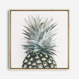 Shop Pineapple (Square) Canvas Print a painted style framed canvas wall art print from The Print Emporium artwork collection - Buy Australian made fine art painting style stretched canvas prints for the home and your interior decor space, TPE-350-CA-40X40-NF