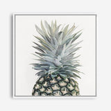 Shop Pineapple (Square) Canvas Print a painted style framed canvas wall art print from The Print Emporium artwork collection - Buy Australian made fine art painting style stretched canvas prints for the home and your interior decor space, TPE-350-CA-40X40-NF