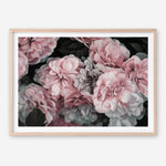 Shop Pink Blooms Art Print a floral themed painted wall art print from The Print Emporium wall artwork collection - Buy Australian made fine art painting style poster and framed prints for the home and your interior decor room, TPE-059-AP