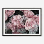 Shop Pink Blooms Art Print a floral themed painted wall art print from The Print Emporium wall artwork collection - Buy Australian made fine art painting style poster and framed prints for the home and your interior decor room, TPE-059-AP
