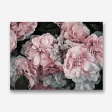 Shop Pink Blooms Canvas Print a floral themed painted framed canvas wall art print from The Print Emporium artwork collection - Buy Australian made fine art painting style stretched canvas prints for the home and your interior decor space, TPE-059-CA-35X46-NF
