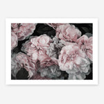 Shop Pink Blooms II Art Print a floral themed painted wall art print from The Print Emporium wall artwork collection - Buy Australian made fine art painting style poster and framed prints for the home and your interior decor room, TPE-458-AP