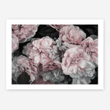 Shop Pink Blooms II Art Print a floral themed painted wall art print from The Print Emporium wall artwork collection - Buy Australian made fine art painting style poster and framed prints for the home and your interior decor room, TPE-458-AP