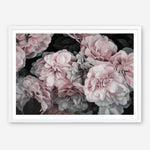 Shop Pink Blooms II Art Print a floral themed painted wall art print from The Print Emporium wall artwork collection - Buy Australian made fine art painting style poster and framed prints for the home and your interior decor room, TPE-458-AP
