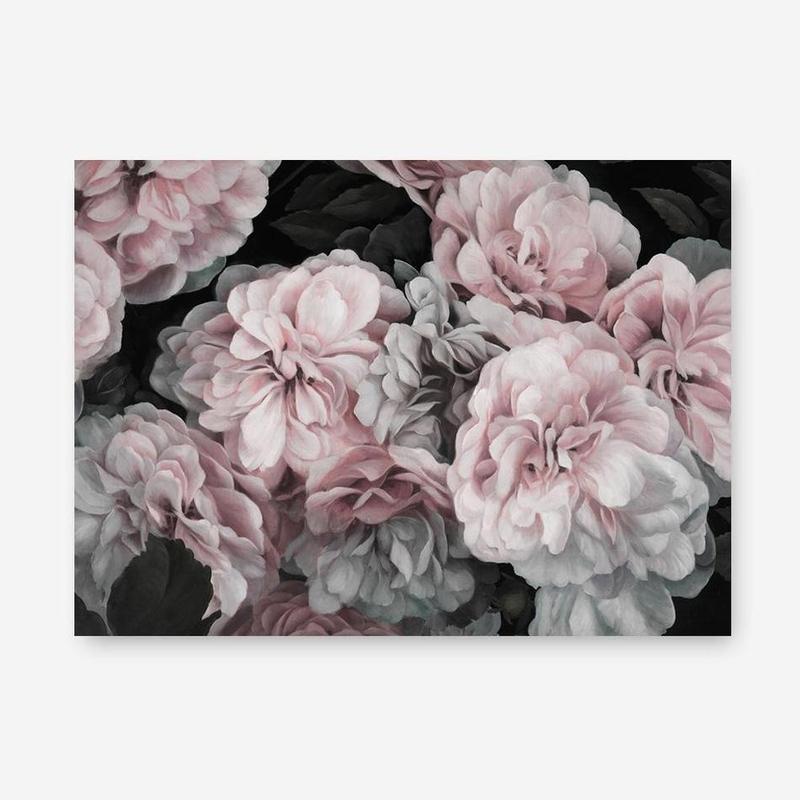 Shop Pink Blooms II Canvas Print a floral themed painted framed canvas wall art print from The Print Emporium artwork collection - Buy Australian made fine art painting style stretched canvas prints for the home and your interior decor space, TPE-458-CA-35X46-NF