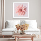 Shop Pink Dahlia Flower (Square) Art Print a floral themed painted wall art print from The Print Emporium wall artwork collection - Buy Australian made fine art painting style poster and framed prints for the home and your interior decor room, TPE-197-AP