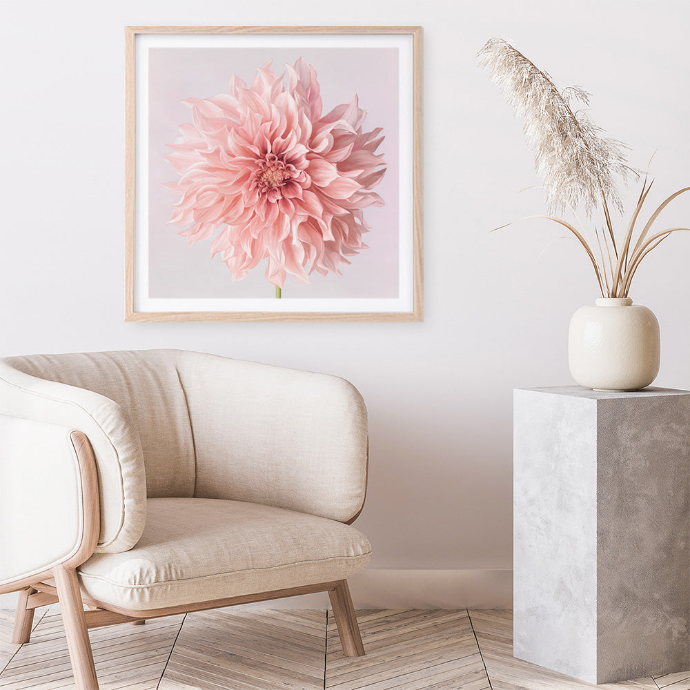 Shop Pink Dahlia Flower (Square) Art Print a floral themed painted wall art print from The Print Emporium wall artwork collection - Buy Australian made fine art painting style poster and framed prints for the home and your interior decor room, TPE-197-AP