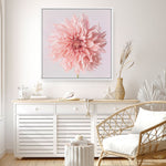 Shop Pink Dahlia (Square) Canvas Print a floral themed painted framed canvas wall art print from The Print Emporium artwork collection - Buy Australian made fine art painting style stretched canvas prints for the home and your interior decor space, TPE-197-CA-40X40-NF