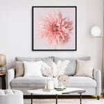 Shop Pink Dahlia (Square) Canvas Print a floral themed painted framed canvas wall art print from The Print Emporium artwork collection - Buy Australian made fine art painting style stretched canvas prints for the home and your interior decor space, TPE-197-CA-40X40-NF