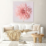 Shop Pink Dahlia (Square) Canvas Print a floral themed painted framed canvas wall art print from The Print Emporium artwork collection - Buy Australian made fine art painting style stretched canvas prints for the home and your interior decor space, TPE-197-CA-40X40-NF