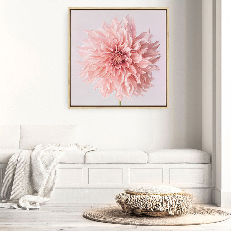 Shop Pink Dahlia (Square) Canvas Print a floral themed painted framed canvas wall art print from The Print Emporium artwork collection - Buy Australian made fine art painting style stretched canvas prints for the home and your interior decor space, TPE-197-CA-40X40-NF