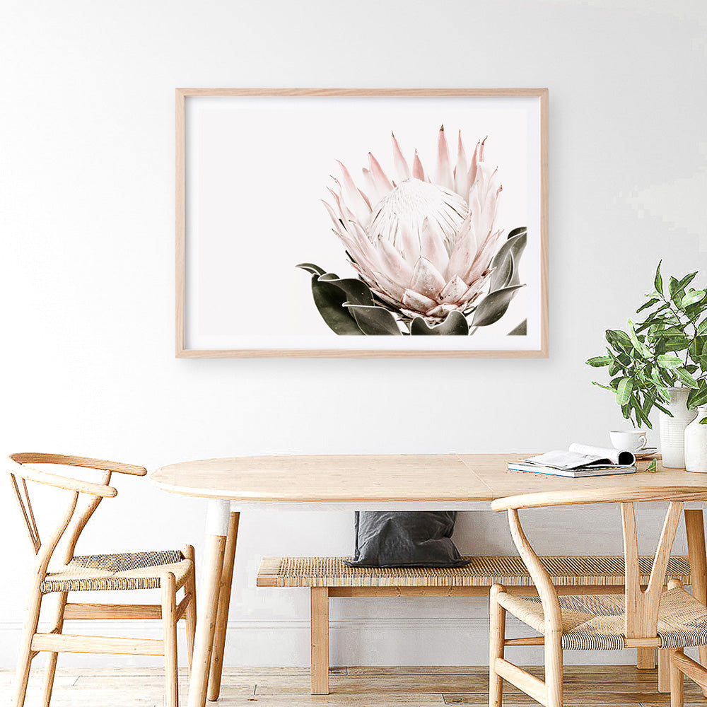 Shop Pink King Protea Flower II Photo Art Print a floral themed photography wall art print from The Print Emporium wall artwork collection - Buy Australian made fine art poster and framed prints for the home and your interior decor room, TPE-961-AP
