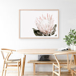 Shop Pink King Protea Flower II Photo Art Print a floral themed photography wall art print from The Print Emporium wall artwork collection - Buy Australian made fine art poster and framed prints for the home and your interior decor room, TPE-961-AP