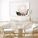 Shop Pink King Protea Flower II Photo Art Print a floral themed photography wall art print from The Print Emporium wall artwork collection - Buy Australian made fine art poster and framed prints for the home and your interior decor room, TPE-961-AP