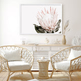 Shop Pink King Protea Flower II Photo Art Print a floral themed photography wall art print from The Print Emporium wall artwork collection - Buy Australian made fine art poster and framed prints for the home and your interior decor room, TPE-961-AP