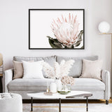 Shop Pink King Protea Flower II Photo Art Print a floral themed photography wall art print from The Print Emporium wall artwork collection - Buy Australian made fine art poster and framed prints for the home and your interior decor room, TPE-961-AP