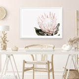 Shop Pink King Protea Flower II Photo Art Print a floral themed photography wall art print from The Print Emporium wall artwork collection - Buy Australian made fine art poster and framed prints for the home and your interior decor room, TPE-961-AP