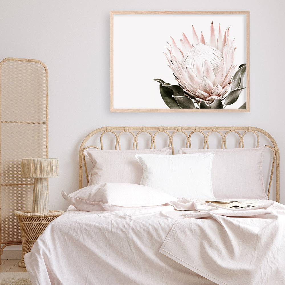 Shop Pink King Protea Flower II Photo Art Print a floral themed photography wall art print from The Print Emporium wall artwork collection - Buy Australian made fine art poster and framed prints for the home and your interior decor room, TPE-961-AP