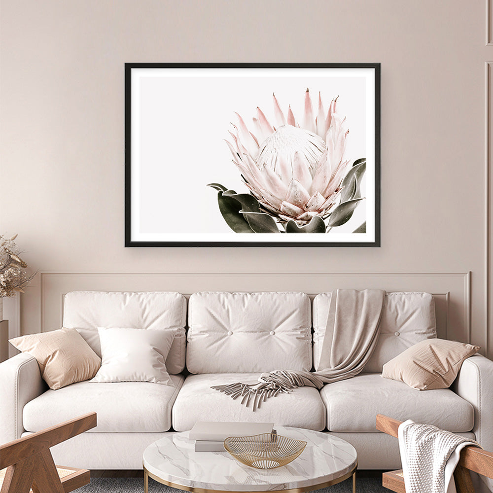 Shop Pink King Protea Flower II Photo Art Print a floral themed photography wall art print from The Print Emporium wall artwork collection - Buy Australian made fine art poster and framed prints for the home and your interior decor room, TPE-961-AP