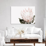 Shop Pink King Protea II Photo Canvas Print a floral themed photography framed stretched canvas print from The Print Emporium wall artwork collection - Buy Australian made prints for the home and your interior decor space, TPE-961-CA-35X46-NF
