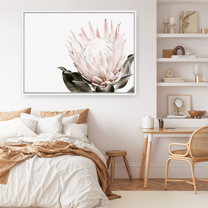 Shop Pink King Protea II Photo Canvas Print a floral themed photography framed stretched canvas print from The Print Emporium wall artwork collection - Buy Australian made prints for the home and your interior decor space, TPE-961-CA-35X46-NF