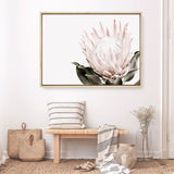 Shop Pink King Protea II Photo Canvas Print a floral themed photography framed stretched canvas print from The Print Emporium wall artwork collection - Buy Australian made prints for the home and your interior decor space, TPE-961-CA-35X46-NF