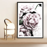 Shop Pink Peony Blossom I Photo Art Print a floral themed photography wall art print from The Print Emporium wall artwork collection - Buy Australian made fine art poster and framed prints for the home and your interior decor room, TPE-283-AP