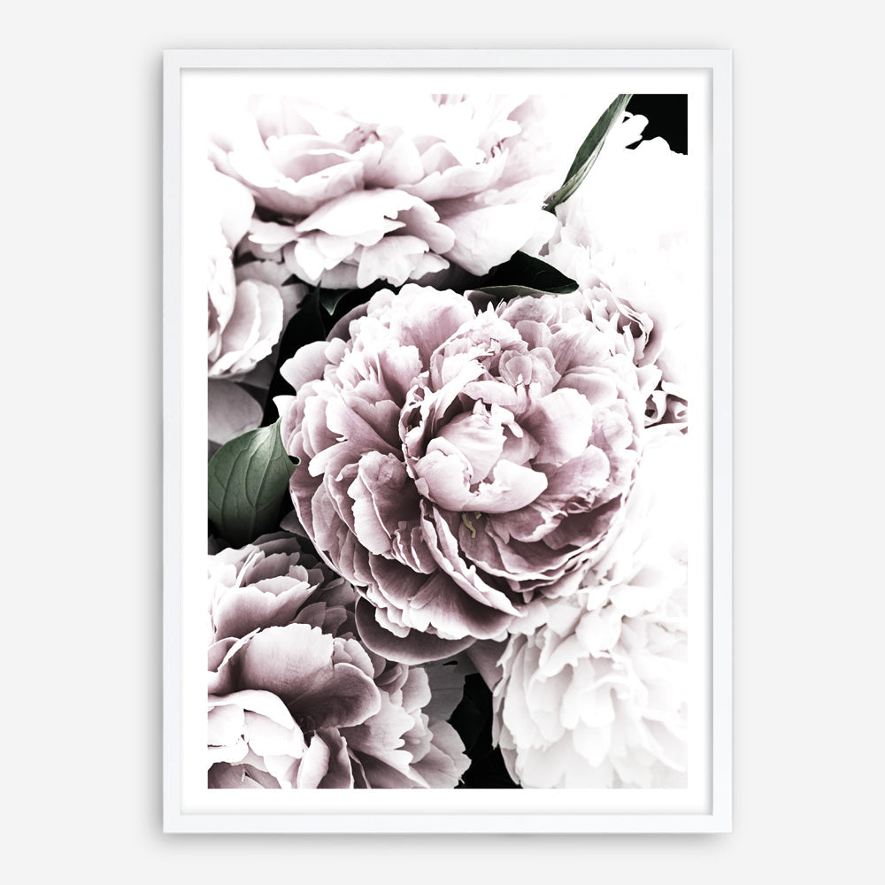 Shop Pink Peony Blossom I Photo Art Print a floral themed photography wall art print from The Print Emporium wall artwork collection - Buy Australian made fine art poster and framed prints for the home and your interior decor room, TPE-283-AP