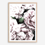 Shop Pink Peony Blossom II Photo Art Print a floral themed photography wall art print from The Print Emporium wall artwork collection - Buy Australian made fine art poster and framed prints for the home and your interior decor room, TPE-284-AP