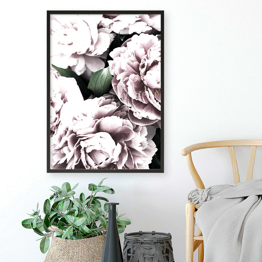 Shop Pink Peony Blossom II Photo Art Print a floral themed photography wall art print from The Print Emporium wall artwork collection - Buy Australian made fine art poster and framed prints for the home and your interior decor room, TPE-284-AP