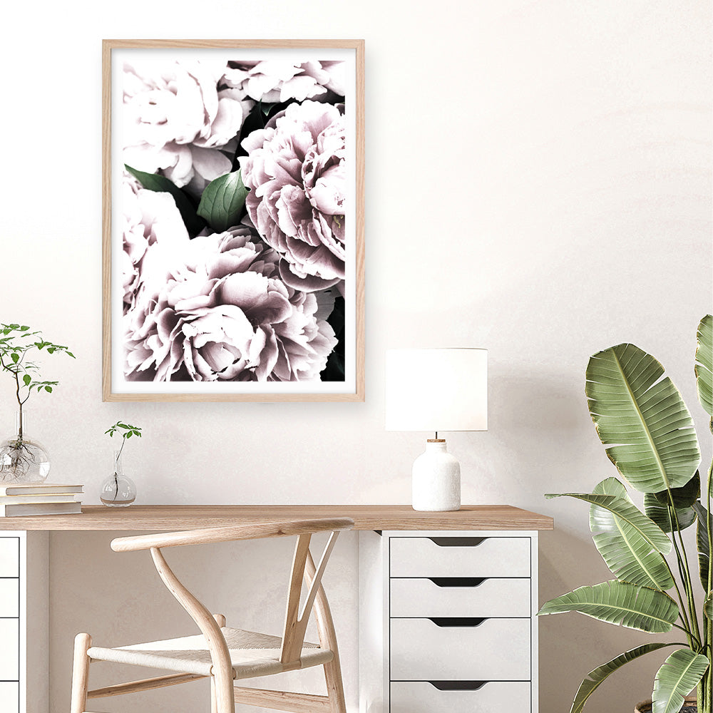 Shop Pink Peony Blossom II Photo Art Print a floral themed photography wall art print from The Print Emporium wall artwork collection - Buy Australian made fine art poster and framed prints for the home and your interior decor room, TPE-284-AP