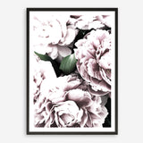 Shop Pink Peony Blossom II Photo Art Print a floral themed photography wall art print from The Print Emporium wall artwork collection - Buy Australian made fine art poster and framed prints for the home and your interior decor room, TPE-284-AP