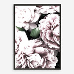 Shop Pink Peony Blossom II Photo Art Print a floral themed photography wall art print from The Print Emporium wall artwork collection - Buy Australian made fine art poster and framed prints for the home and your interior decor room, TPE-284-AP