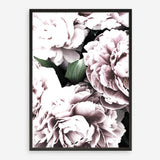 Shop Pink Peony Blossom II Photo Art Print a floral themed photography wall art print from The Print Emporium wall artwork collection - Buy Australian made fine art poster and framed prints for the home and your interior decor room, TPE-284-AP