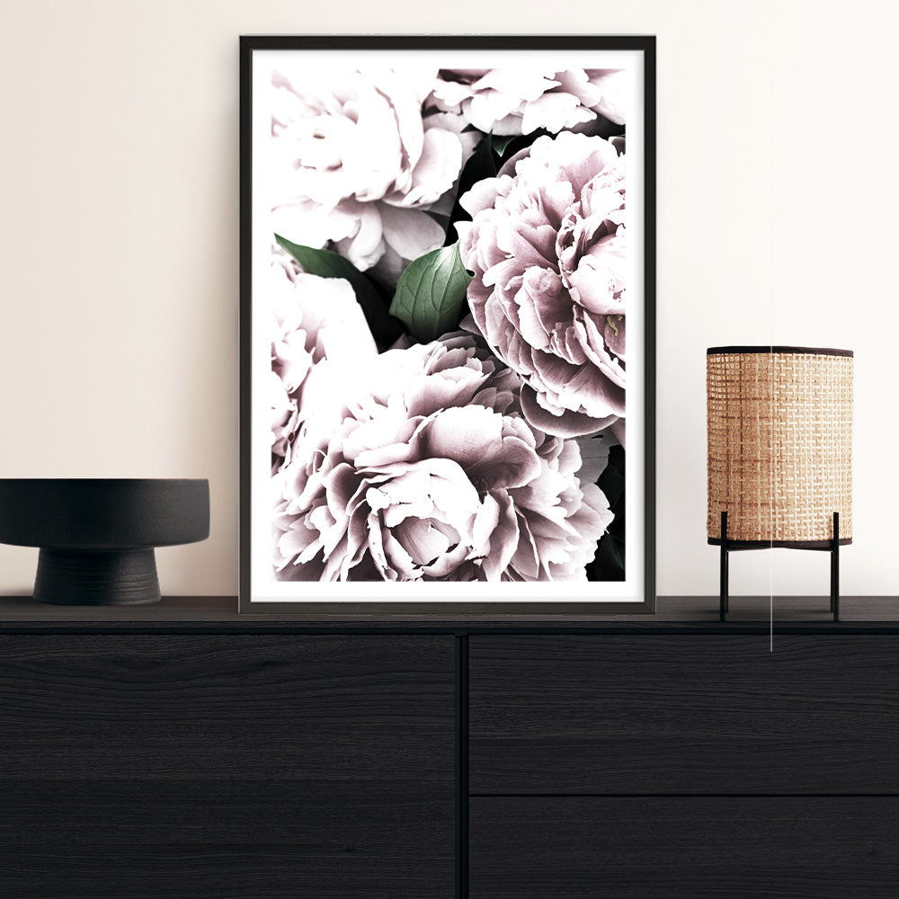 Shop Pink Peony Blossom II Photo Art Print a floral themed photography wall art print from The Print Emporium wall artwork collection - Buy Australian made fine art poster and framed prints for the home and your interior decor room, TPE-284-AP