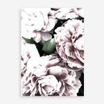 Shop Pink Peony Blossom II Photo Art Print a floral themed photography wall art print from The Print Emporium wall artwork collection - Buy Australian made fine art poster and framed prints for the home and your interior decor room, TPE-284-AP