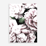 Shop Pink Peony Blossom II Photo Art Print a floral themed photography wall art print from The Print Emporium wall artwork collection - Buy Australian made fine art poster and framed prints for the home and your interior decor room, TPE-284-AP
